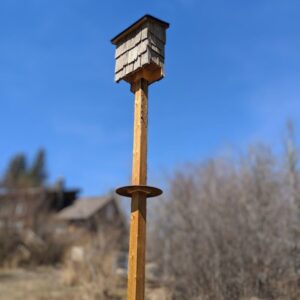 Bat House Basics—Short Course (Beta Version)